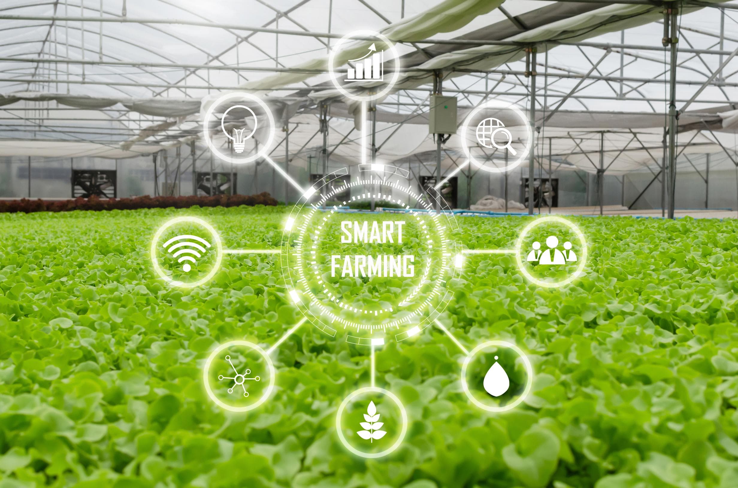 Smart Farming Initiative